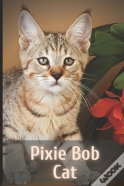 Capa do artigo Pixie Bob Cat