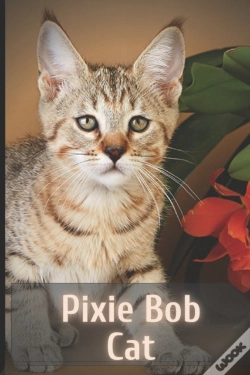 Capa do artigo Pixie Bob Cat