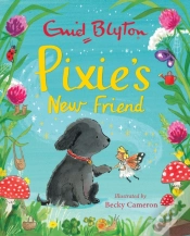 Capa do artigo Pixie