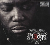 Capa do artigo Pl3dge - CD