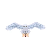 Capa do artigo Placa de Parede Nemesis Now - Harry Potter Hedwig 45CM