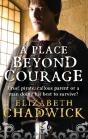 Place Beyond Courage - Preview