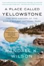 Place Called Yellowstone - Preview