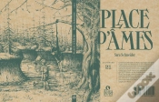 Capa do artigo Place D