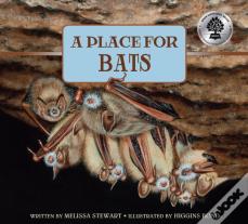 Place For Bats