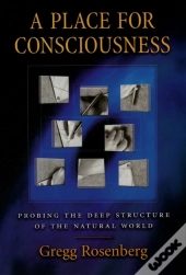 Place For Consciousness