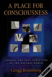 Place For Consciousness