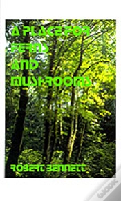 Capa do artigo Place For Ferns And Mushrooms