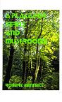 Place For Ferns And Mushrooms - Preview