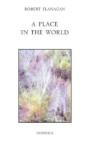 Place In The World - Preview