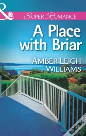 Capa do artigo Place With Briar