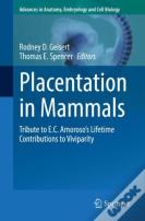 Placentation In Mammals