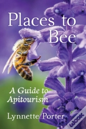 Capa do artigo Places To Bee