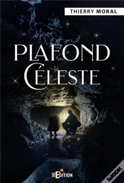 Capa do artigo Plafond Celeste