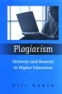 Plagiarism - Preview