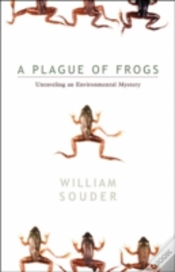 Capa do artigo Plague Of Frogs