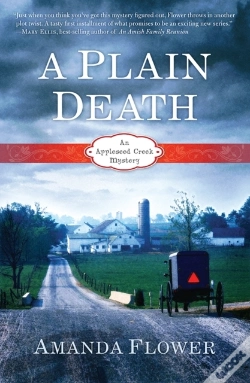 Capa do artigo Plain Death