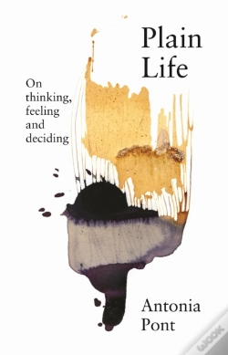 Capa do artigo Plain Life