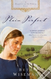 Capa do artigo Plain Perfect