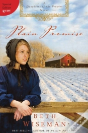 Capa do artigo Plain Promise