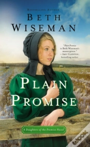 Capa do artigo Plain Promise