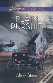 Capa do artigo Plain Pursuit
