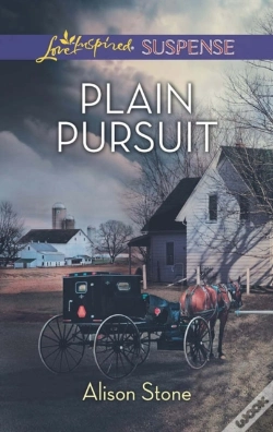 Capa do artigo Plain Pursuit