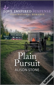 Capa do artigo Plain Pursuit