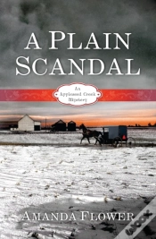 Capa do artigo Plain Scandal