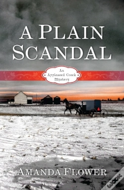 Capa do artigo Plain Scandal