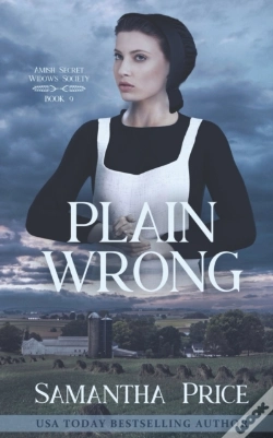 Capa do artigo Plain Wrong
