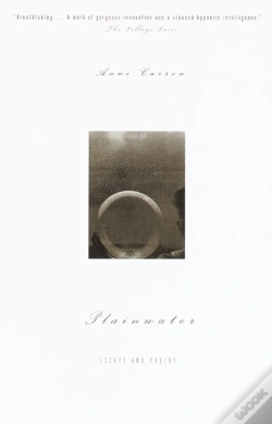Capa do artigo Plainwater