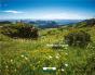 Plaisirs D'Ardeche - Preview
