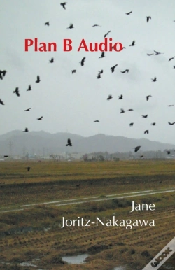 Capa do artigo Plan B Audio