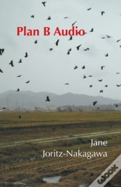 Capa do artigo Plan B Audio