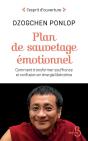 Plan De Sauvetage Emotionnel - Preview