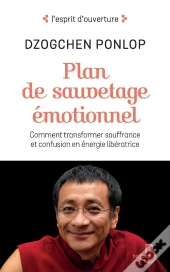 Plan De Sauvetage Emotionnel