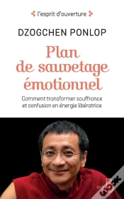 Capa do artigo Plan De Sauvetage Emotionnel