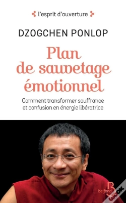 Capa do artigo Plan De Sauvetage Emotionnel