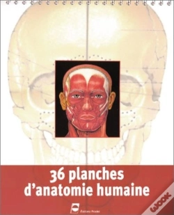 Capa do artigo Planches Anatomiques  Version Spirale