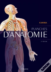 Capa do artigo Planches D