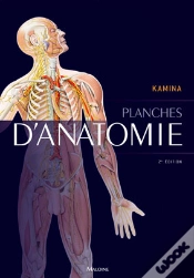 Capa do artigo Planches D