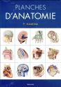 Planches D'Anatomie (3e Édition) - Preview