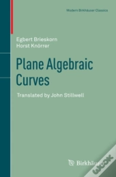 Plane Algebraic Curves