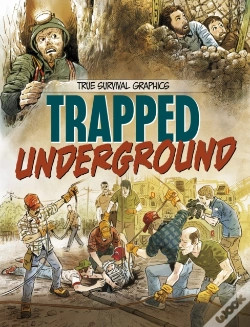 Capa do artigo Planes In Peril