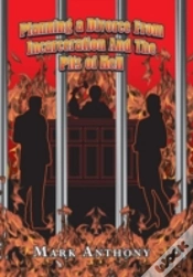Capa do artigo Planning A Divorce From Incarceration An