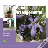 Plant Arrangements: Creativity With Flowers
