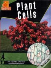 Plant Cells