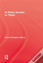 Plant Hunter In Tibet