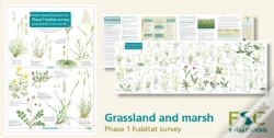 Capa do artigo Plant Identification For Phase 1 Habitat Survey: Grassland And Marsh